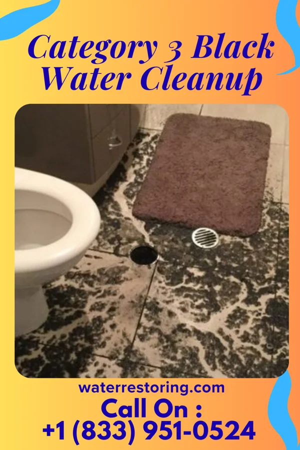 Category 3 Black Water Cleanup in Felton, DE