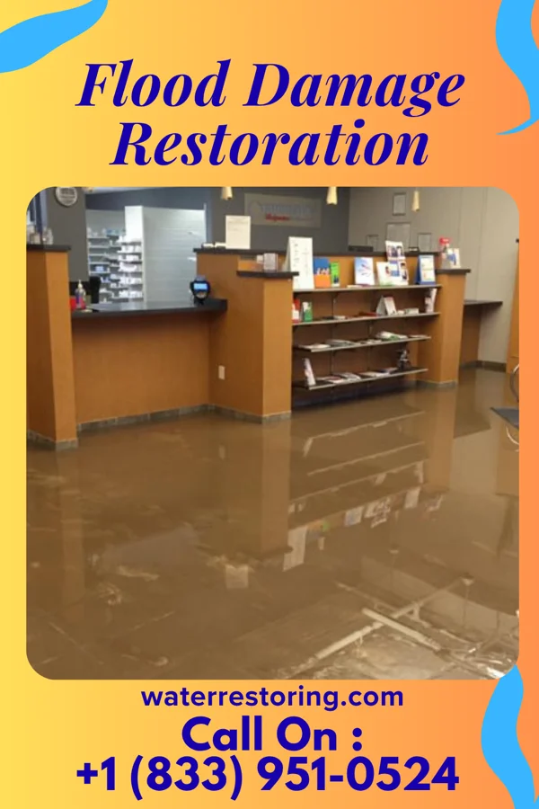 Flood Damage Restoration in Felton, DE