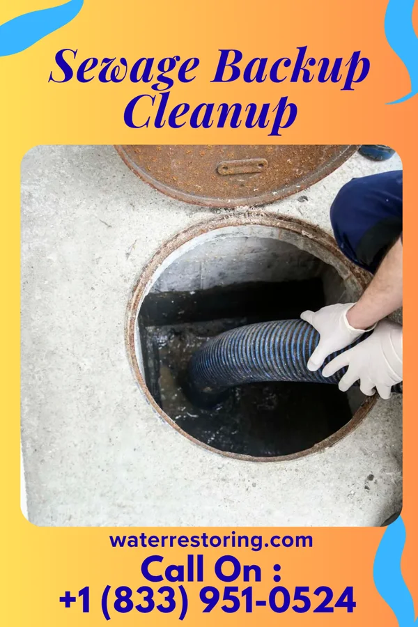 Sewage Backup Cleanup in Felton, DE